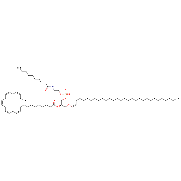 Image of MNXM1017853