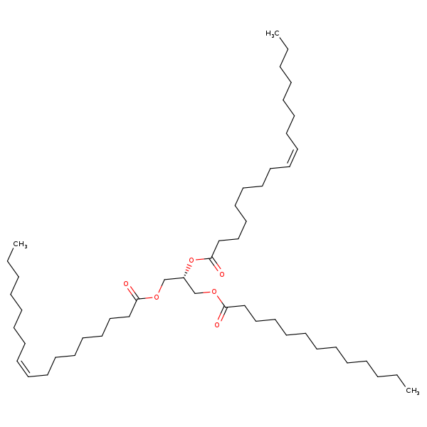 Image of MNXM110030