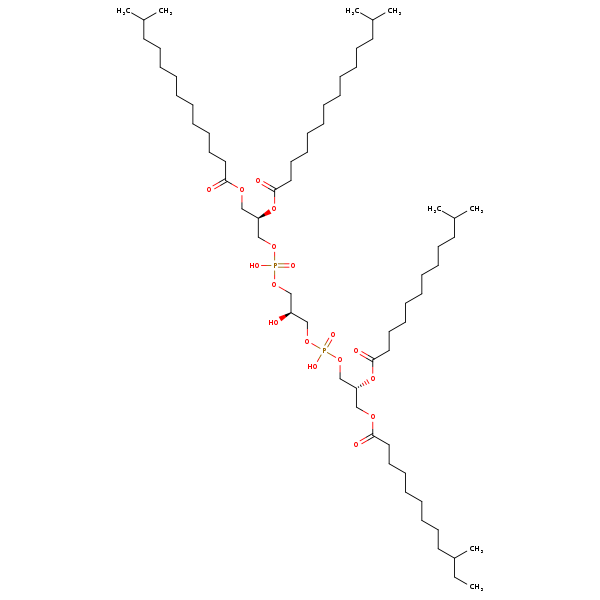 Image of MNXM1110941