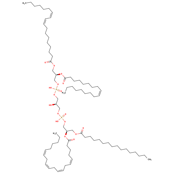 Image of MNXM1112023