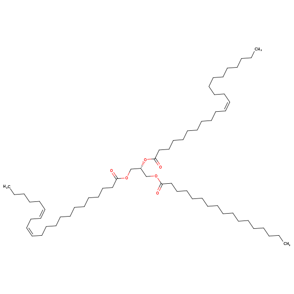 Image of MNXM112413