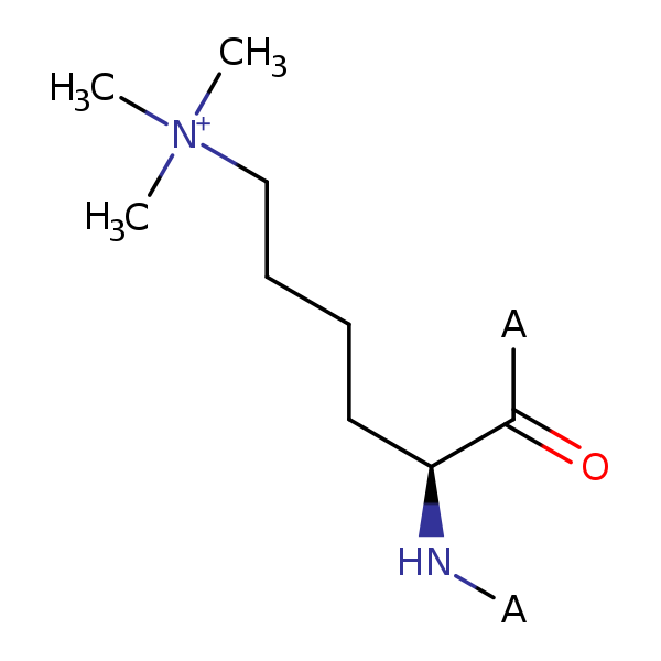 Image of MNXM1134683