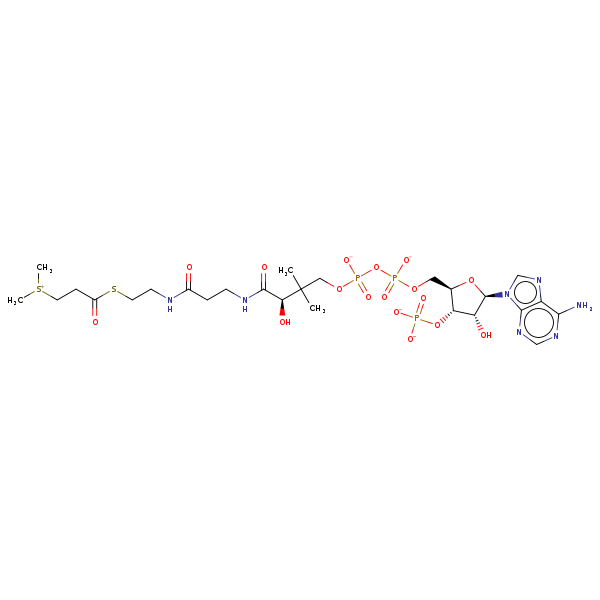 Image of MNXM11404