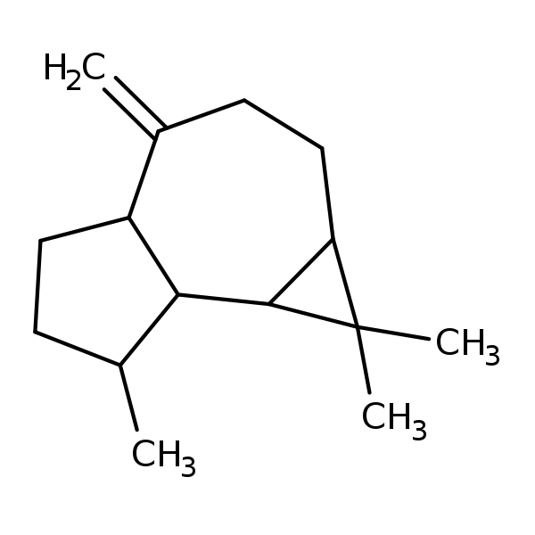 Image of MNXM114817