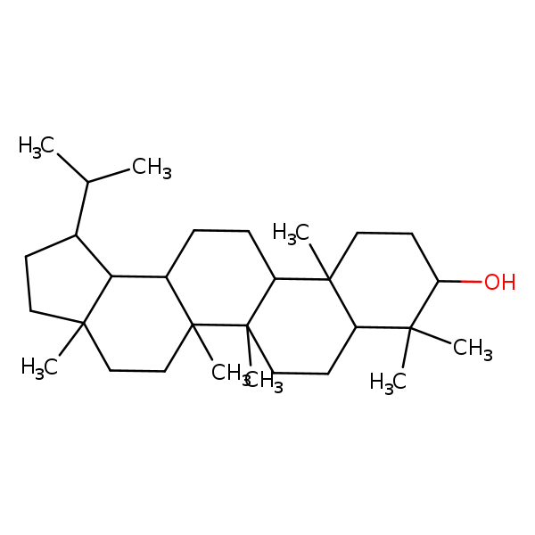 Image of MNXM117667
