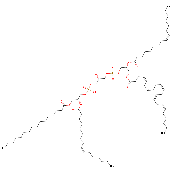 Image of MNXM120802