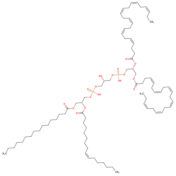 Image of MNXM120811