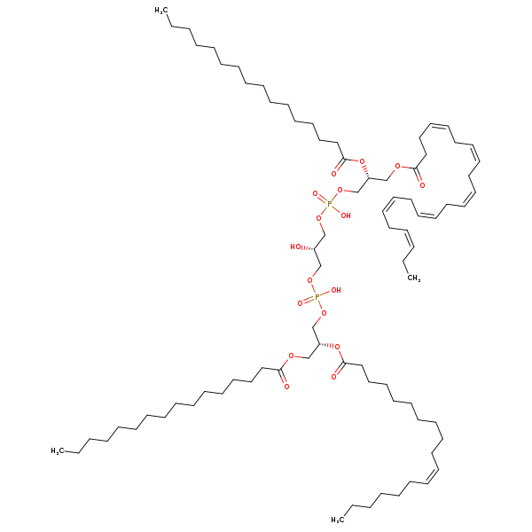 Image of MNXM120911