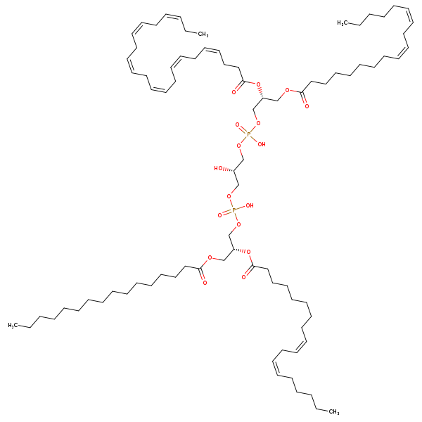 Image of MNXM120999