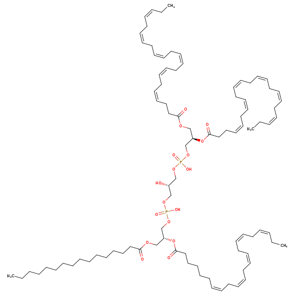 Image of MNXM121160