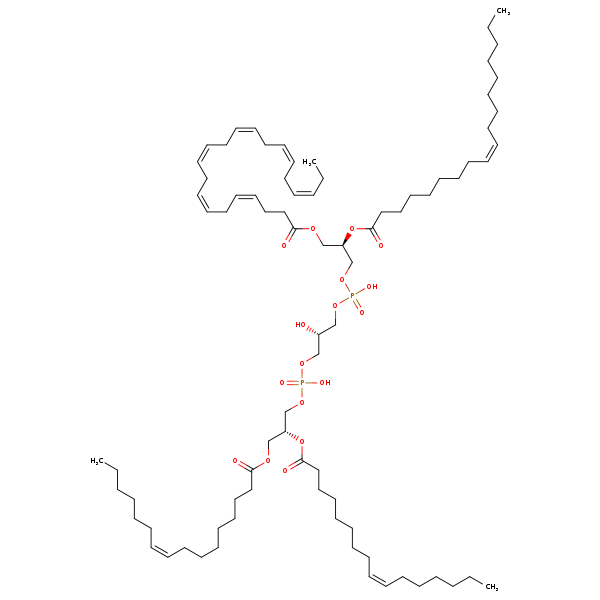 Image of MNXM121307
