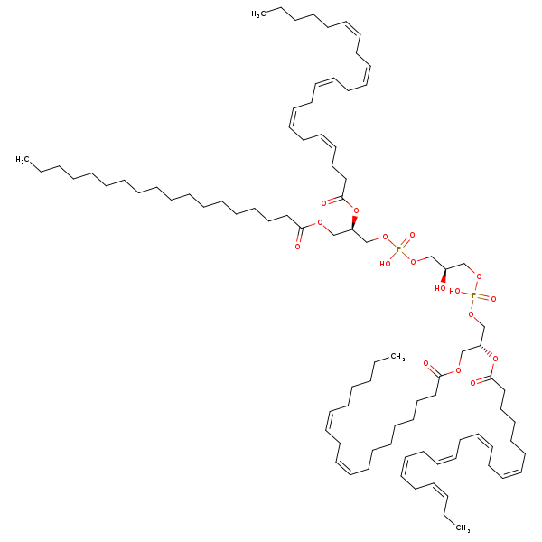 Image of MNXM122012