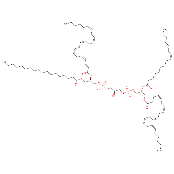 Image of MNXM122018