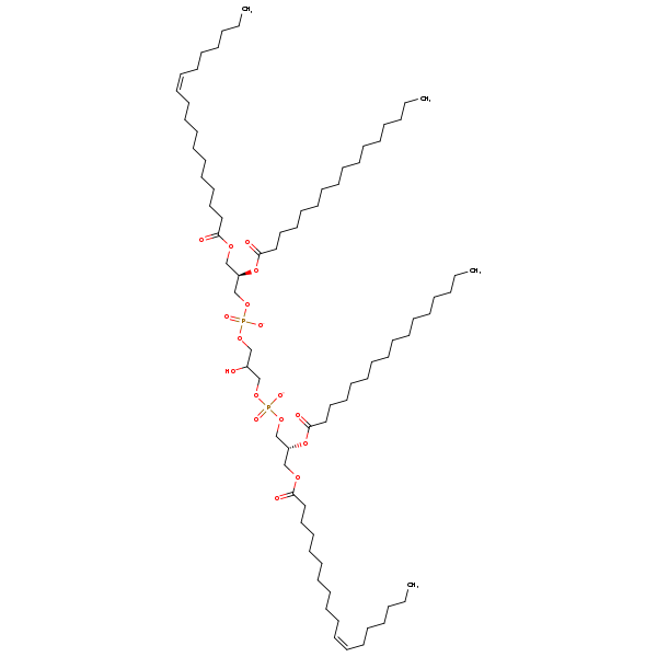 Image of MNXM122124