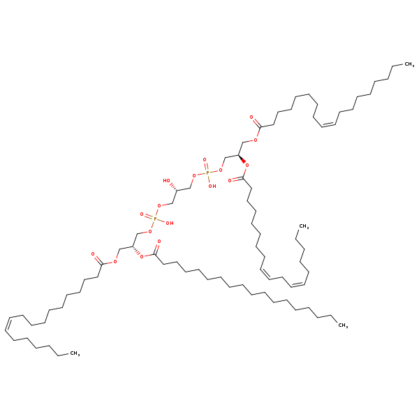 Image of MNXM122220