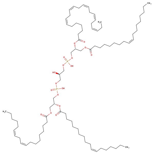 Image of MNXM122904