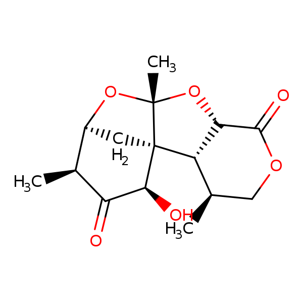 Image of MNXM124074