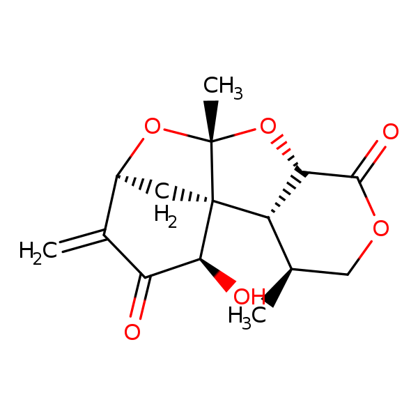 Image of MNXM124075
