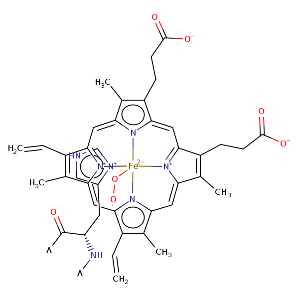 Image of MNXM12556