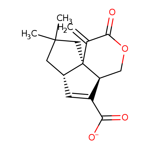 Image of MNXM12599
