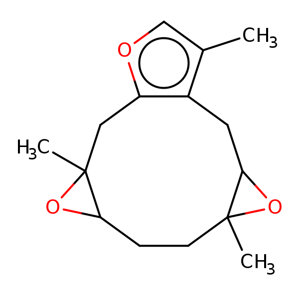 Image of MNXM126117