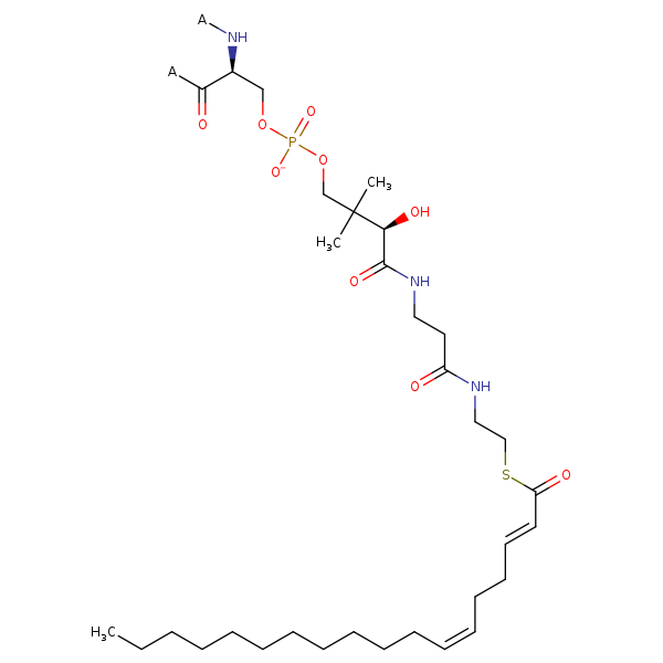Image of MNXM12623