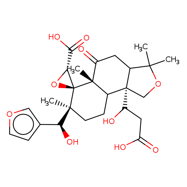 Image of MNXM126881