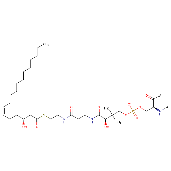 Image of MNXM12848