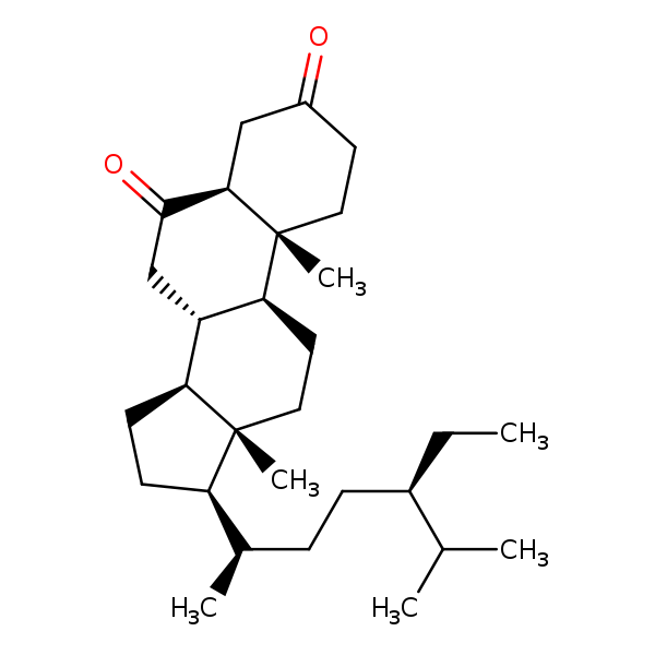 Image of MNXM130921