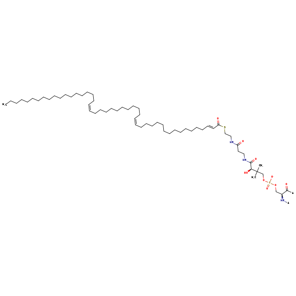 Image of MNXM13111