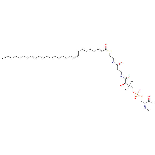 Image of MNXM13129