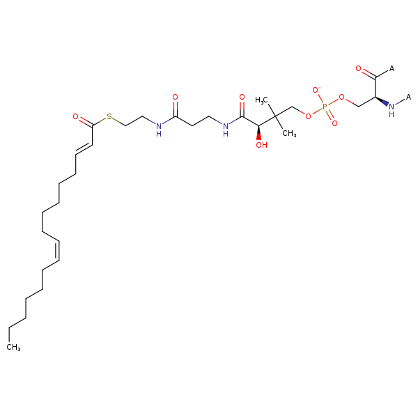 Image of MNXM13134