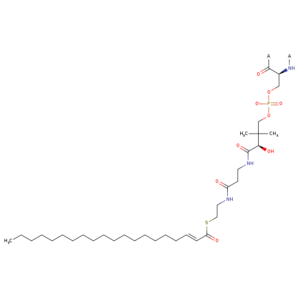 Image of MNXM13135