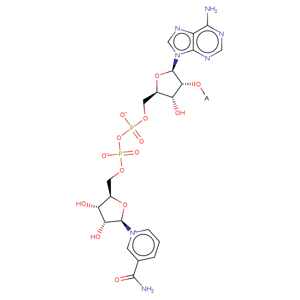 Image of MNXM137