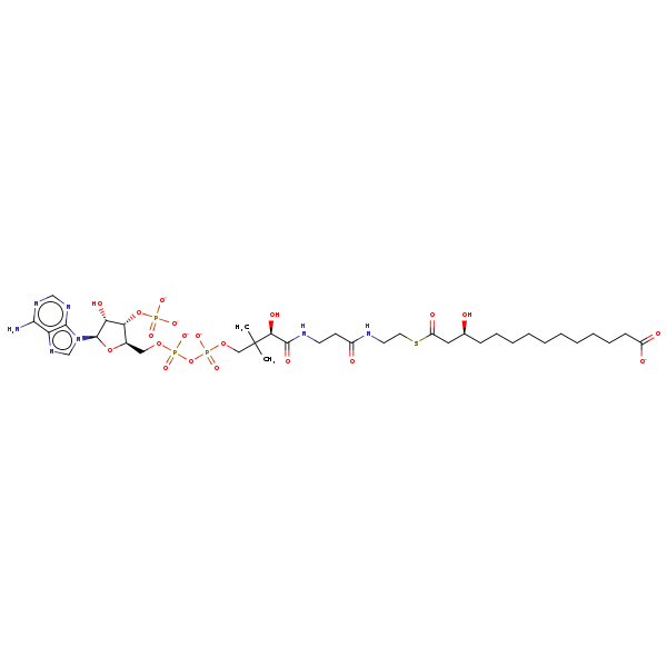 Image of MNXM146018