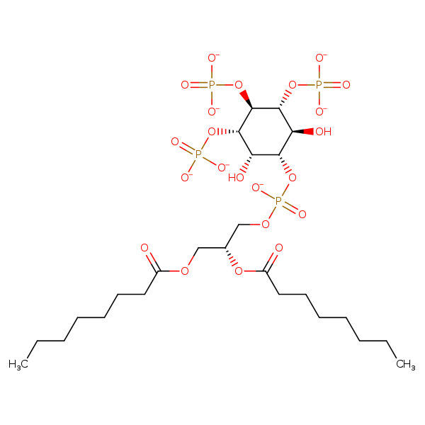 Image of MNXM146035