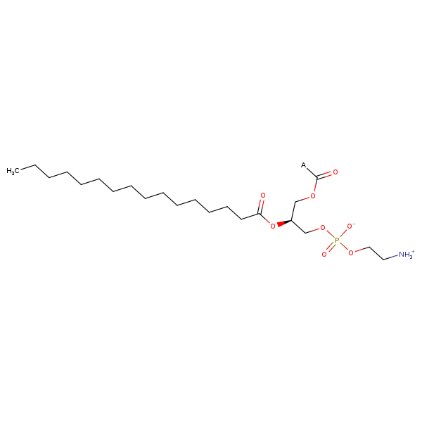 Image of MNXM146791