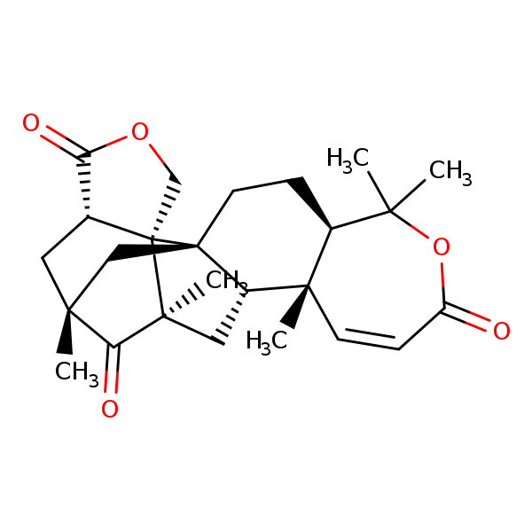 Image of MNXM148078