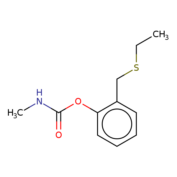 Image of MNXM17585