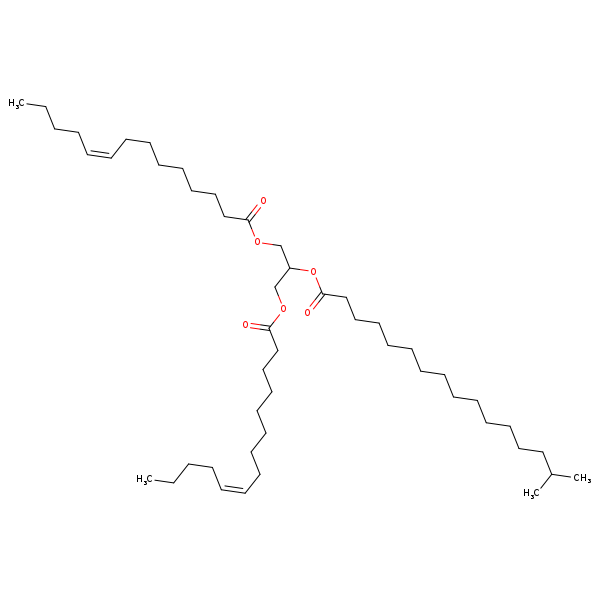 Image of MNXM178686