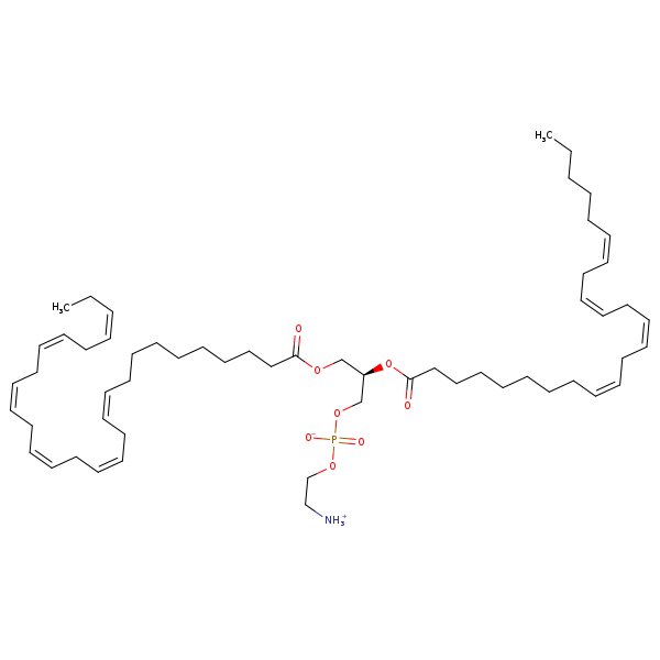 Image of MNXM180336