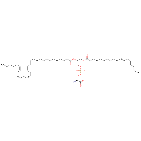 Image of MNXM190259