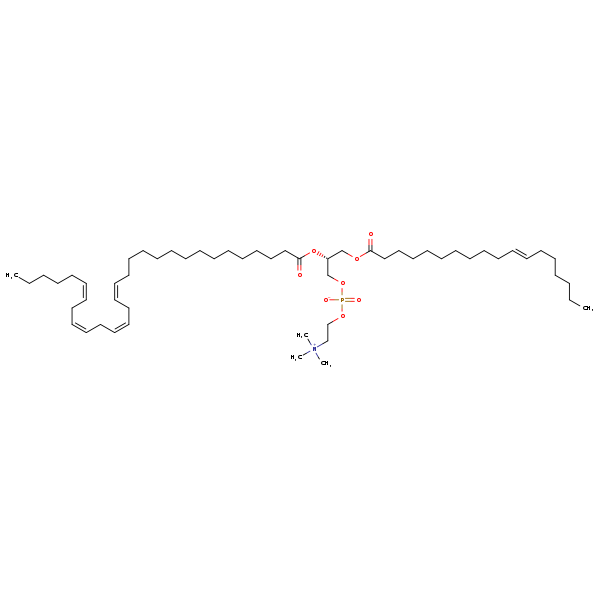 Image of MNXM190260