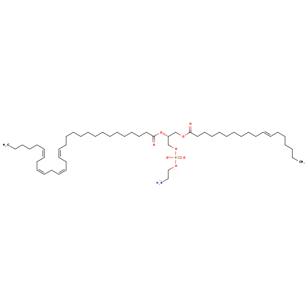 Image of MNXM190261