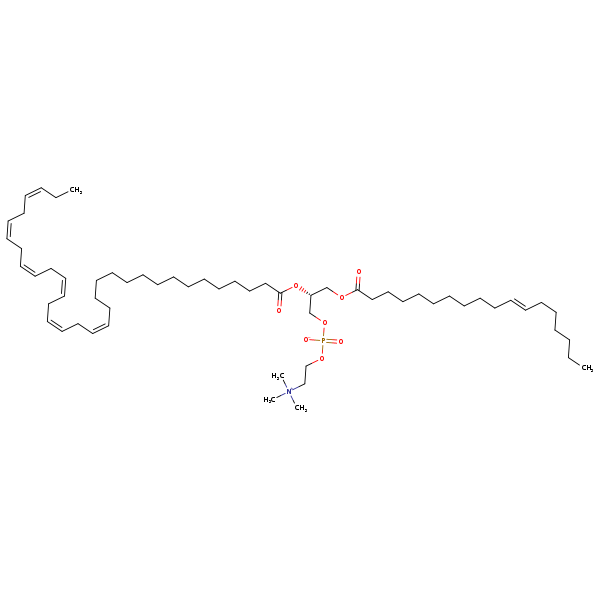 Image of MNXM190338