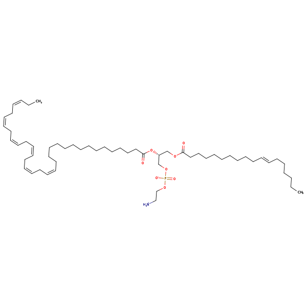 Image of MNXM190339