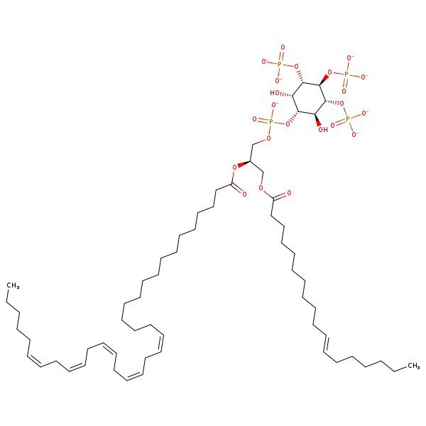 Image of MNXM190344