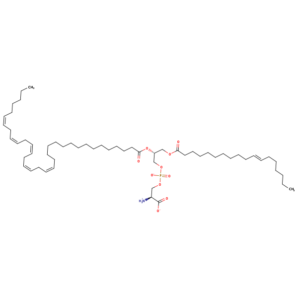 Image of MNXM190351