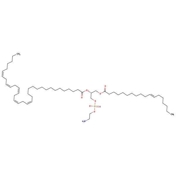 Image of MNXM190353