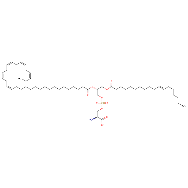 Image of MNXM190365